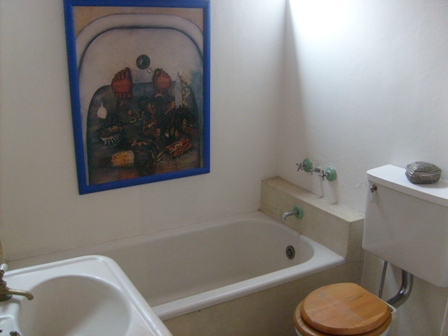 kahlo,rivera,bathroom,museo casa estudio